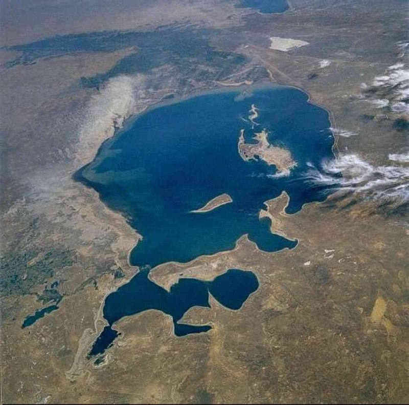 Ажойиб янгилик.
Орол денгизи жонланмоқда! У ўсиб бошлади ва...