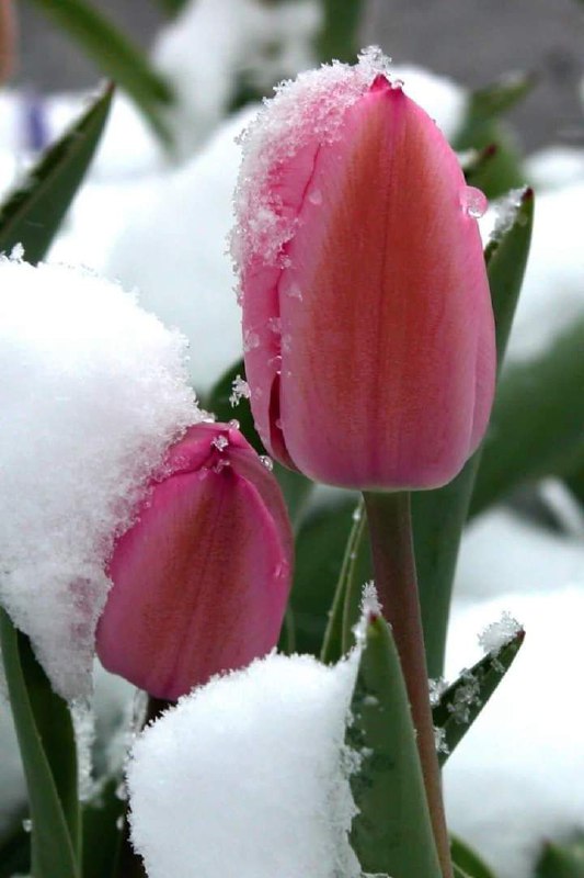📅  17.12.2025 (Chorshanba)

🌤 Xiva sh. ob-havosi: Biroz...