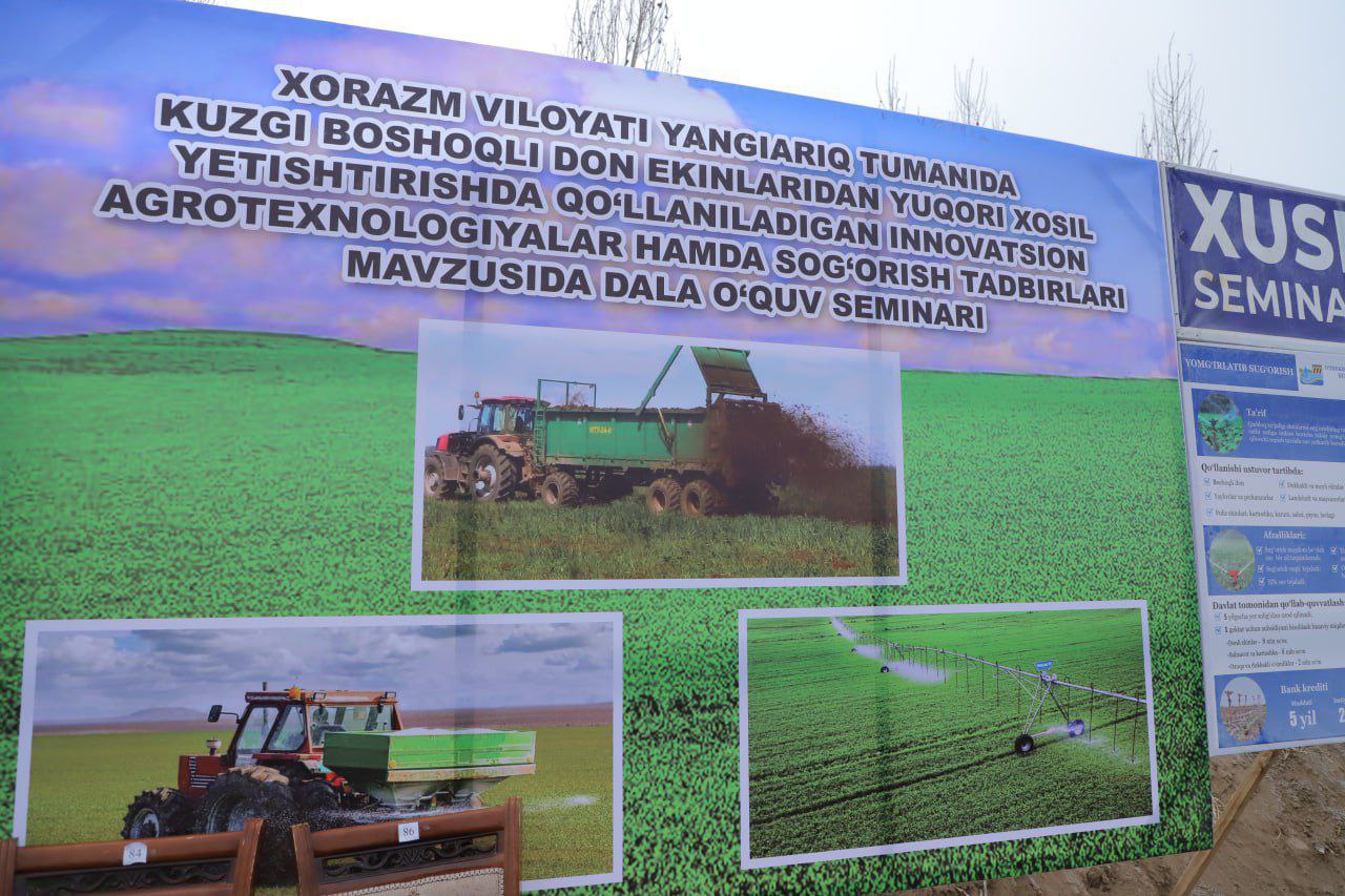 Yangiariq tumanida kuzgi boshoqli don ekinlaridan yuqori hosil...